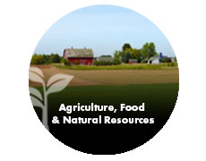 Agriculture, Food & Natural Resources. Link to video playlist.